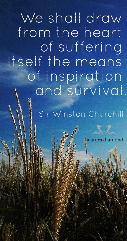 Quote of the week