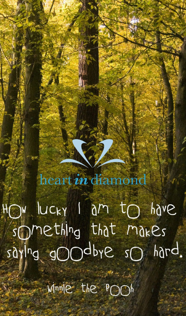Quote of the week